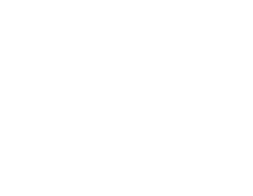 CAES logo