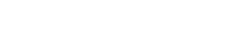 Salomon logo